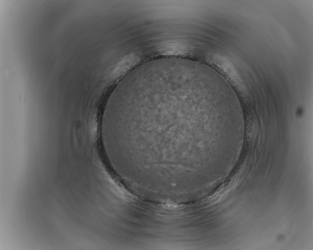 X0000095520261200712211309