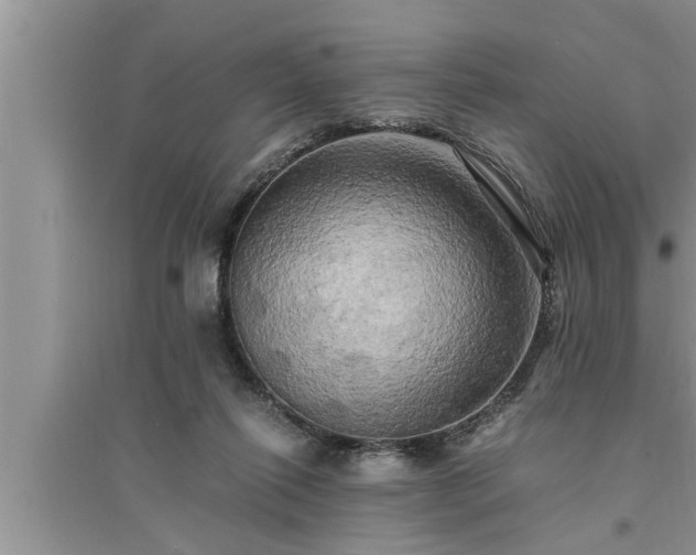 X0000095520262200712211309