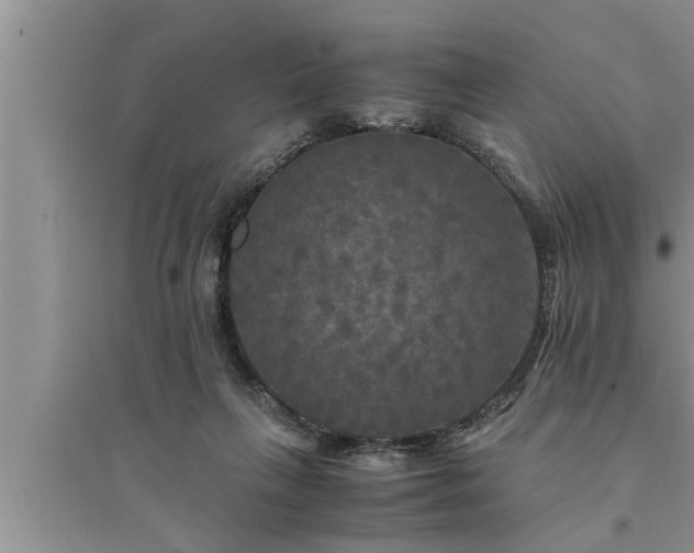 X0000095520263200712211309