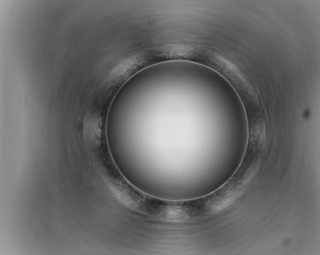 X0000095520264200712211309