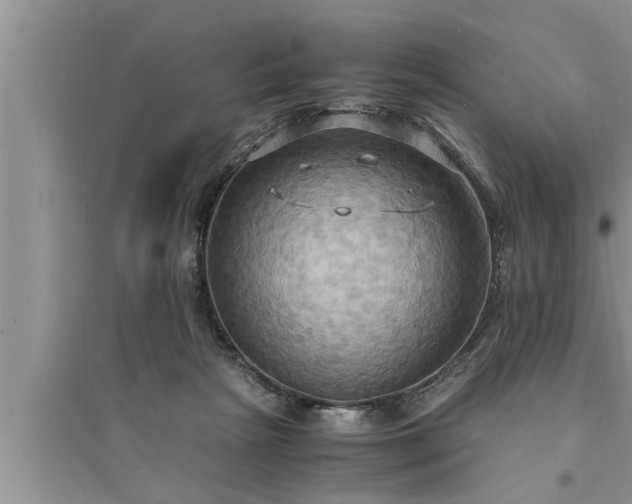 X0000095520265200712211309