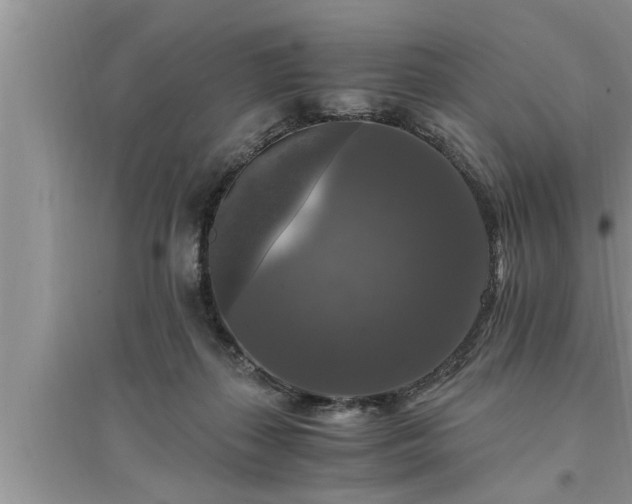 X0000095520267200712211309