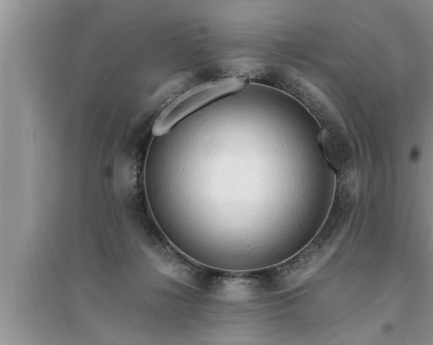 X0000095520268200712211309