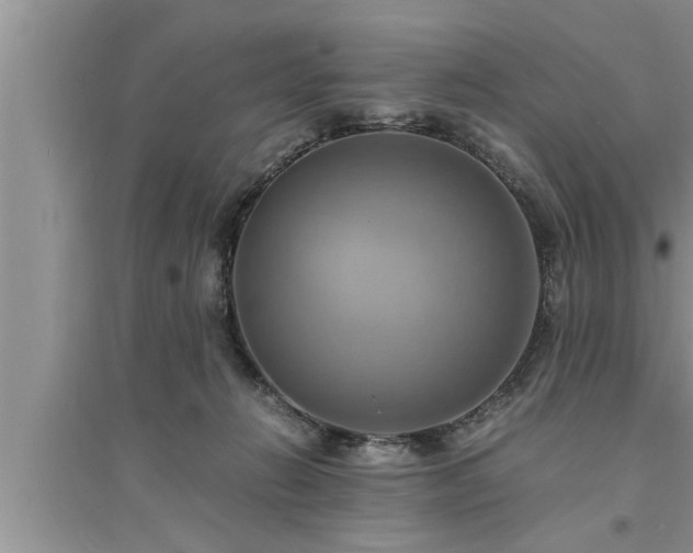 X0000095520270200712211309