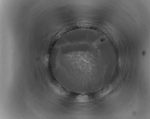 X0000095520271200712211309