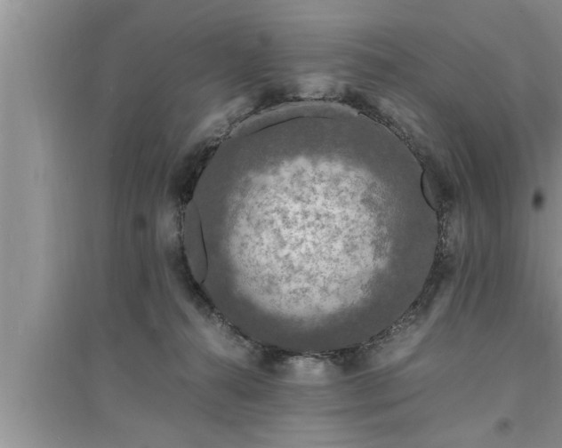 X0000095520272200712211309