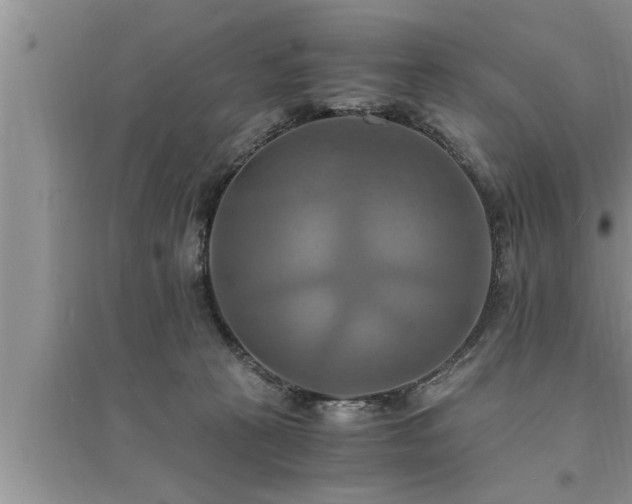 X0000095520273200712211309