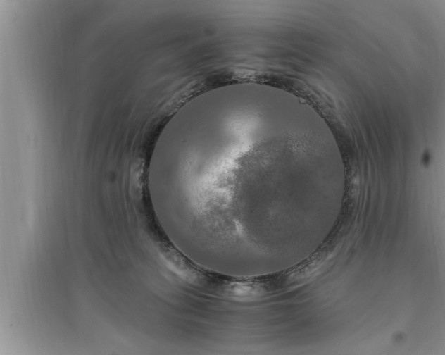 X0000095520275200712211309