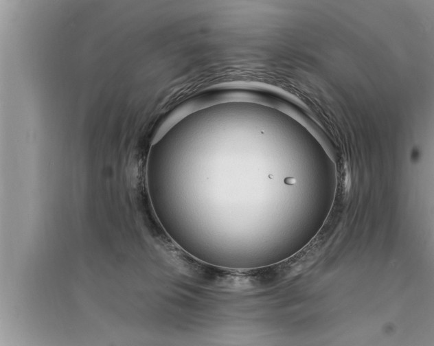 X0000095520276200712211309