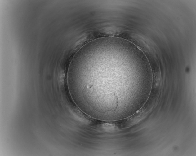 X0000095520279200712211309