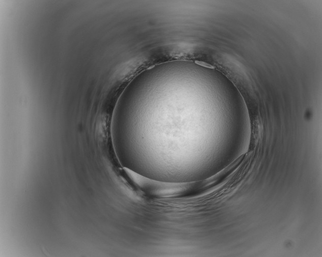 X0000095520280200712211309