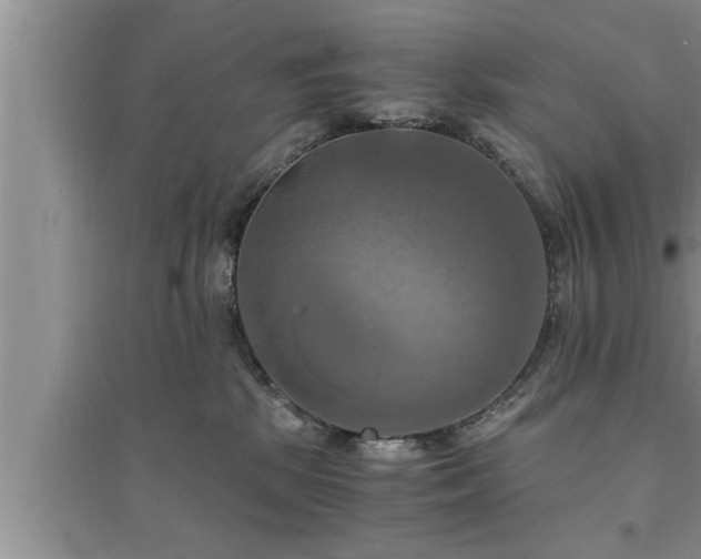 X0000095520281200712211309