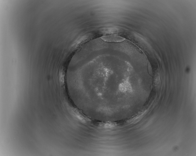 X0000095520282200712211309