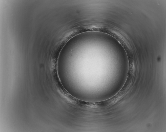 X0000095520284200712211309