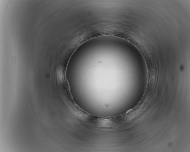 X0000095520287200712211309