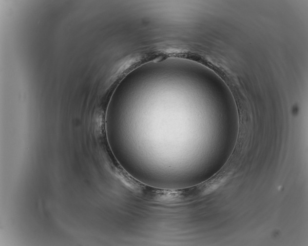 X0000095520288200712211309