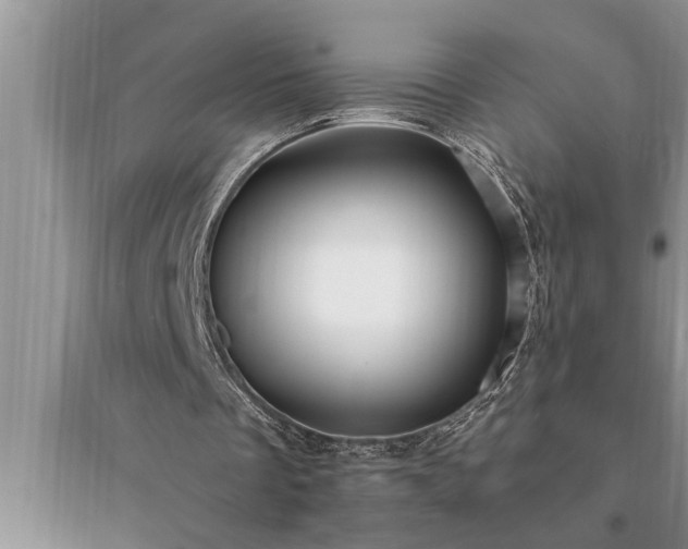 X0000095520289200712211309