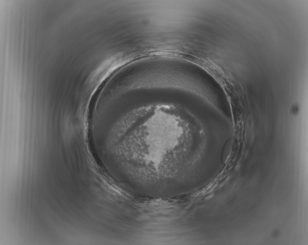 X0000095520290200712211309