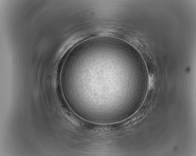 X0000095520291200712211309