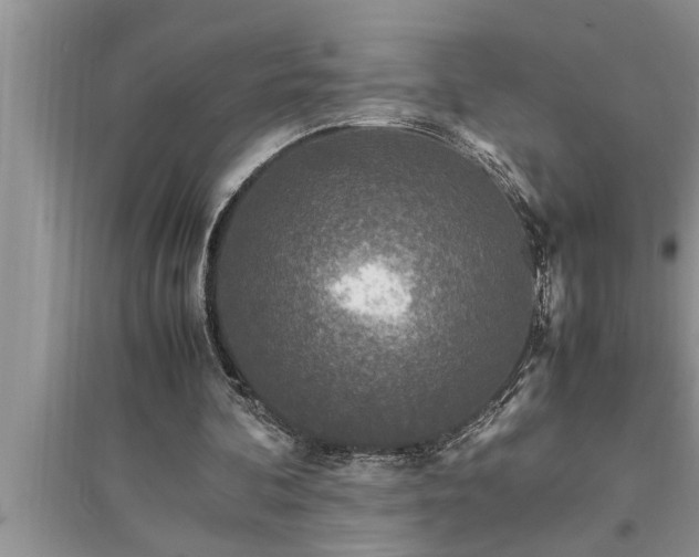 X0000095520292200712211309