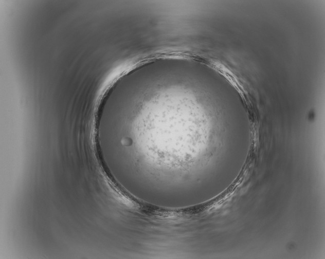 X0000095520293200712211309