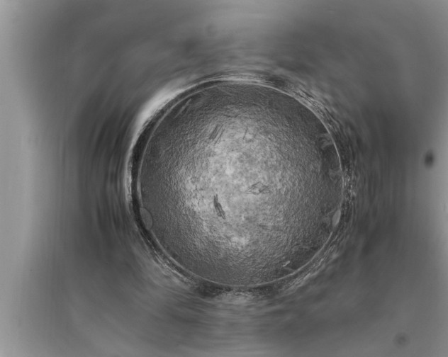 X0000095520294200712211309