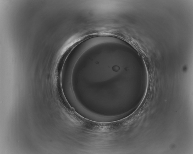 X0000095520295200712211309