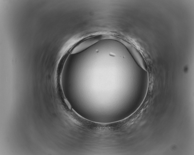 X0000095520296200712211309