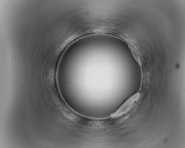 X0000095520297200712211309