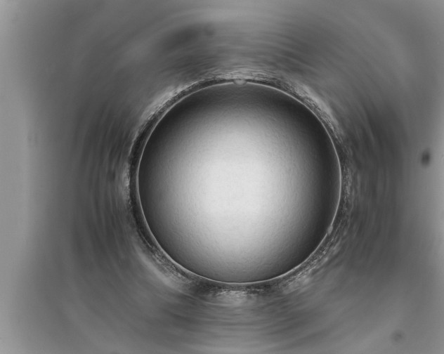 X0000095520298200712211309