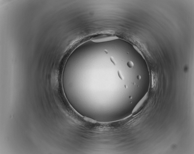 X0000095520300200712211309