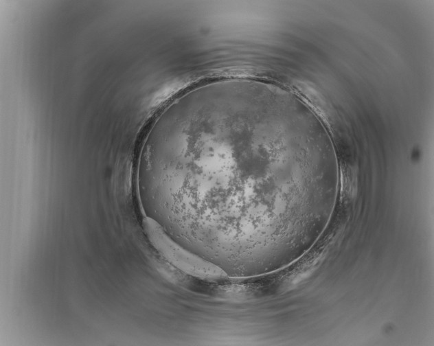 X0000095520301200712211309