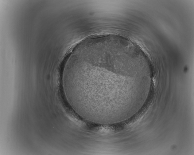 X0000095520303200712211309