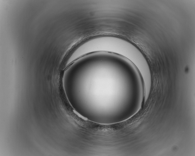 X0000095520304200712211309