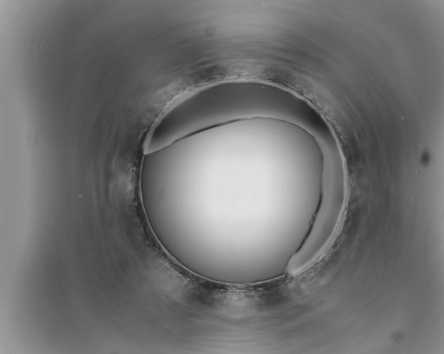 X0000095520305200712211309