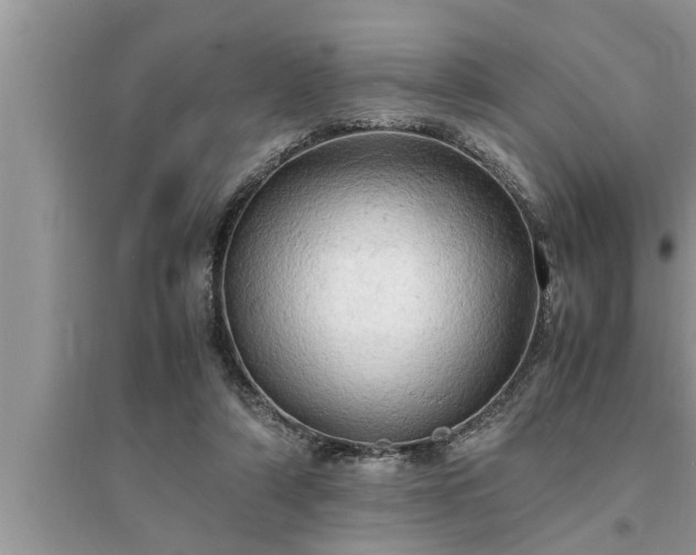 X0000095520306200712211309