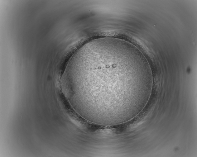 X0000095520307200712211309