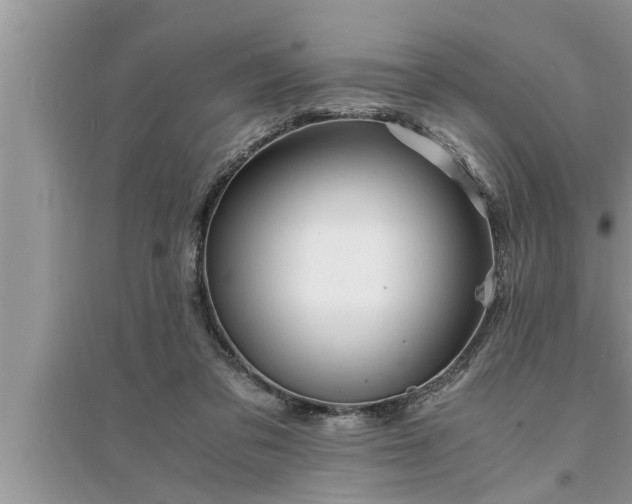 X0000095520309200712211309