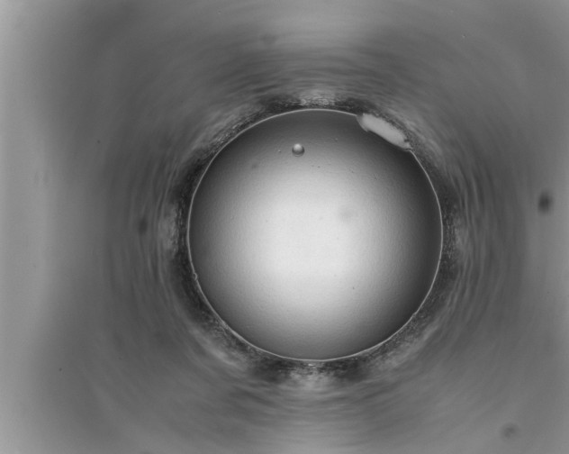 X0000095520311200712211309