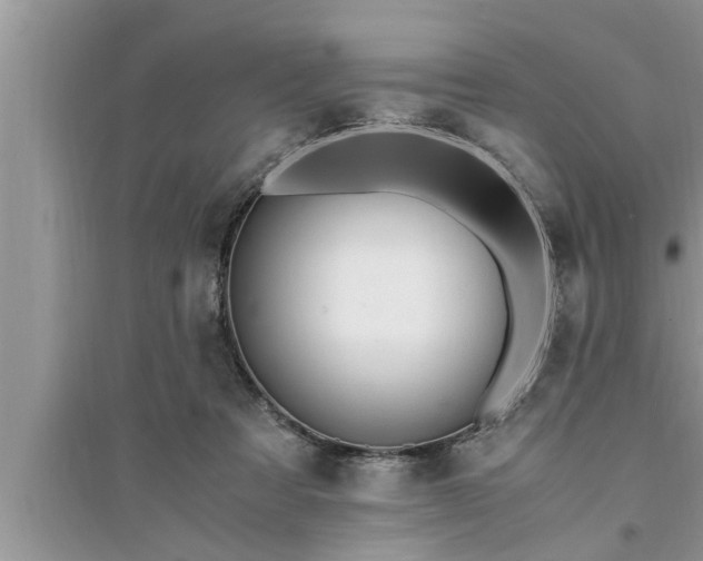 X0000095520313200712211308