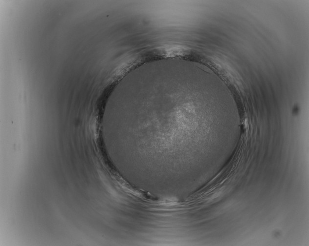 X0000095520316200712211308