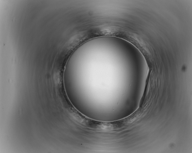 X0000095520317200712211308