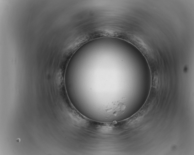 X0000095520318200712211308