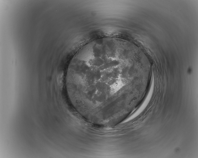 X0000095520319200712211308