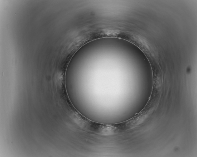 X0000095520321200712211308