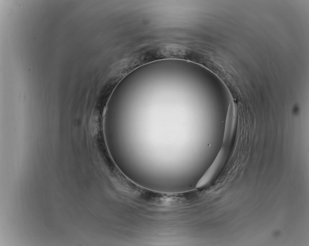 X0000095520323200712211308