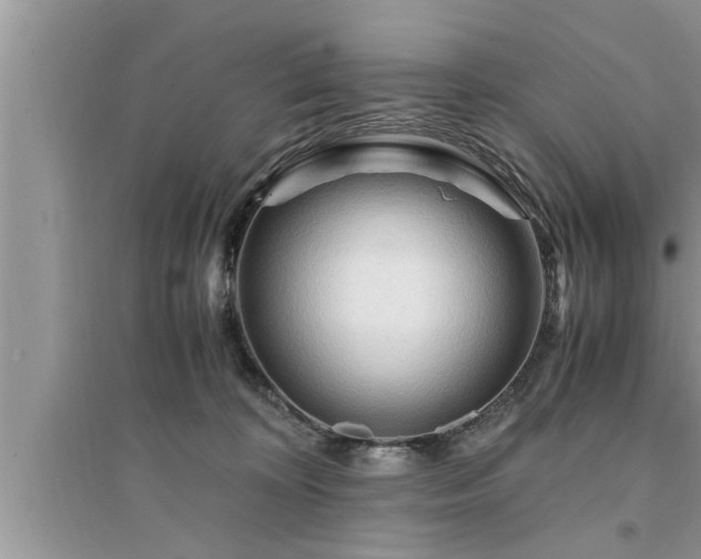 X0000095520324200712211308