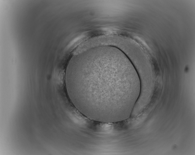 X0000095520325200712211308