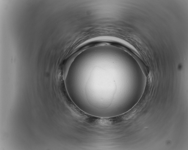 X0000095520327200712211308