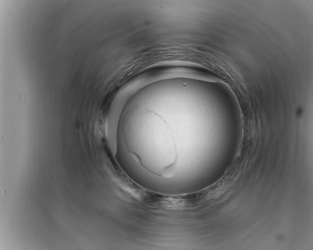 X0000095520328200712211308